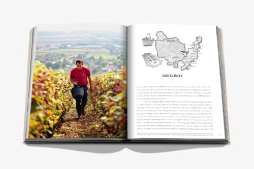 moderni klasika, interjero dizainas, klasika, elegancija, interjeras, knyga wine travel france, assouline, elegant home