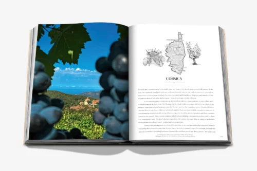moderni klasika, interjero dizainas, klasika, elegancija, interjeras, knyga wine travel france, assouline, elegant home