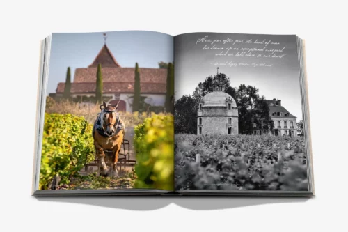 moderni klasika, interjero dizainas, klasika, elegancija, interjeras, knyga wine travel france, assouline, elegant home