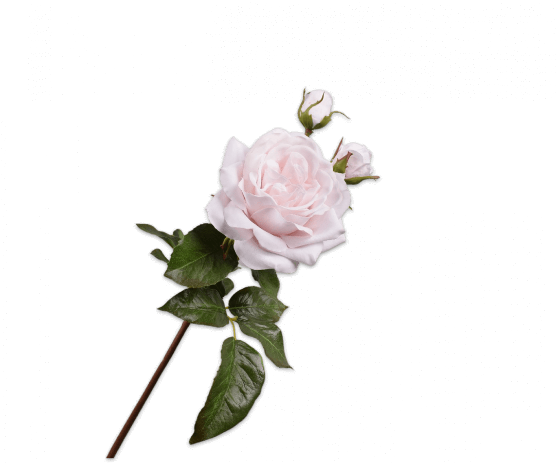 moderni klasika, interjero dizainas, klasika, elegancija, interjeras, dekoratyvinis augalas rose spray pink, silk-ka, elegant home
