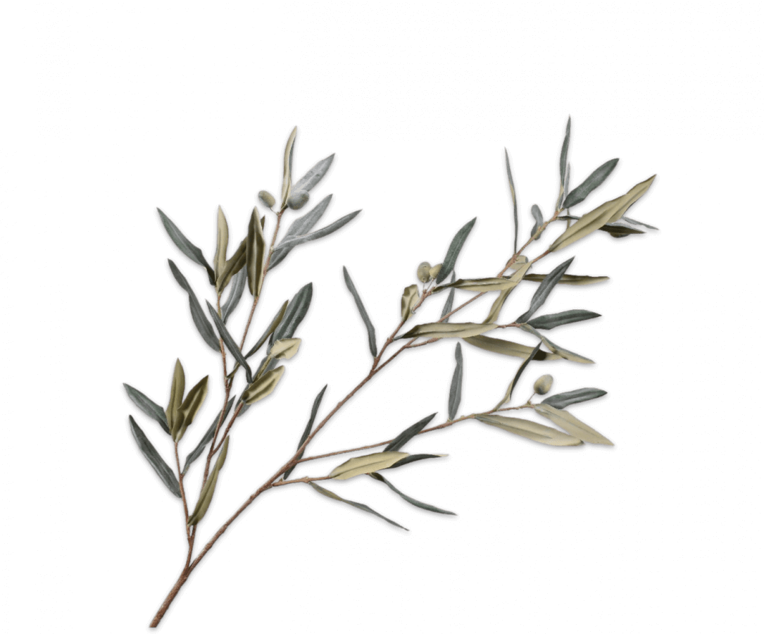 moderni klasika, interjero dizainas, klasika, elegancija, interjeras, dekoratyvinis augalas olive spray grn/gry, silk-ka, elegant home