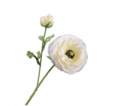 moderni klasika, interjero dizainas, klasika, elegancija, interjeras, dekoratyvinis augalas ranunculus spray cream, silk-ka, elegant home