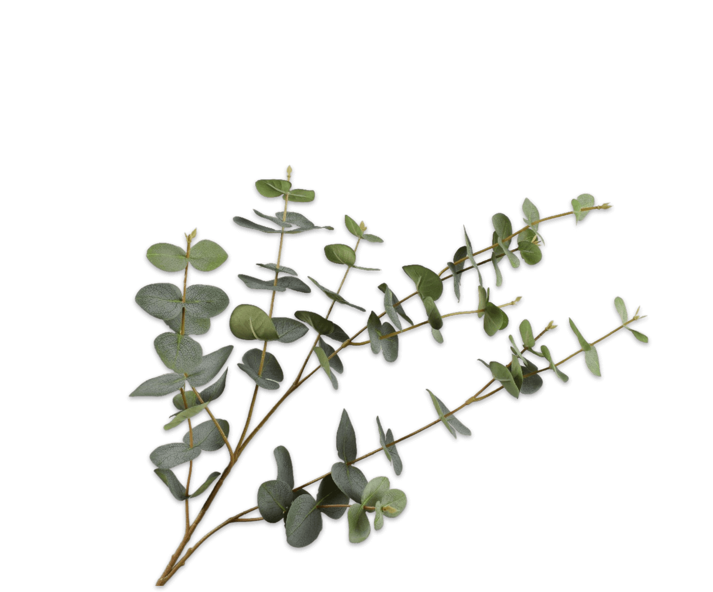 moderni klasika, interjero dizainas, klasika, elegancija, interjeras, eucalyptus spray green, silk-ka, elegant home