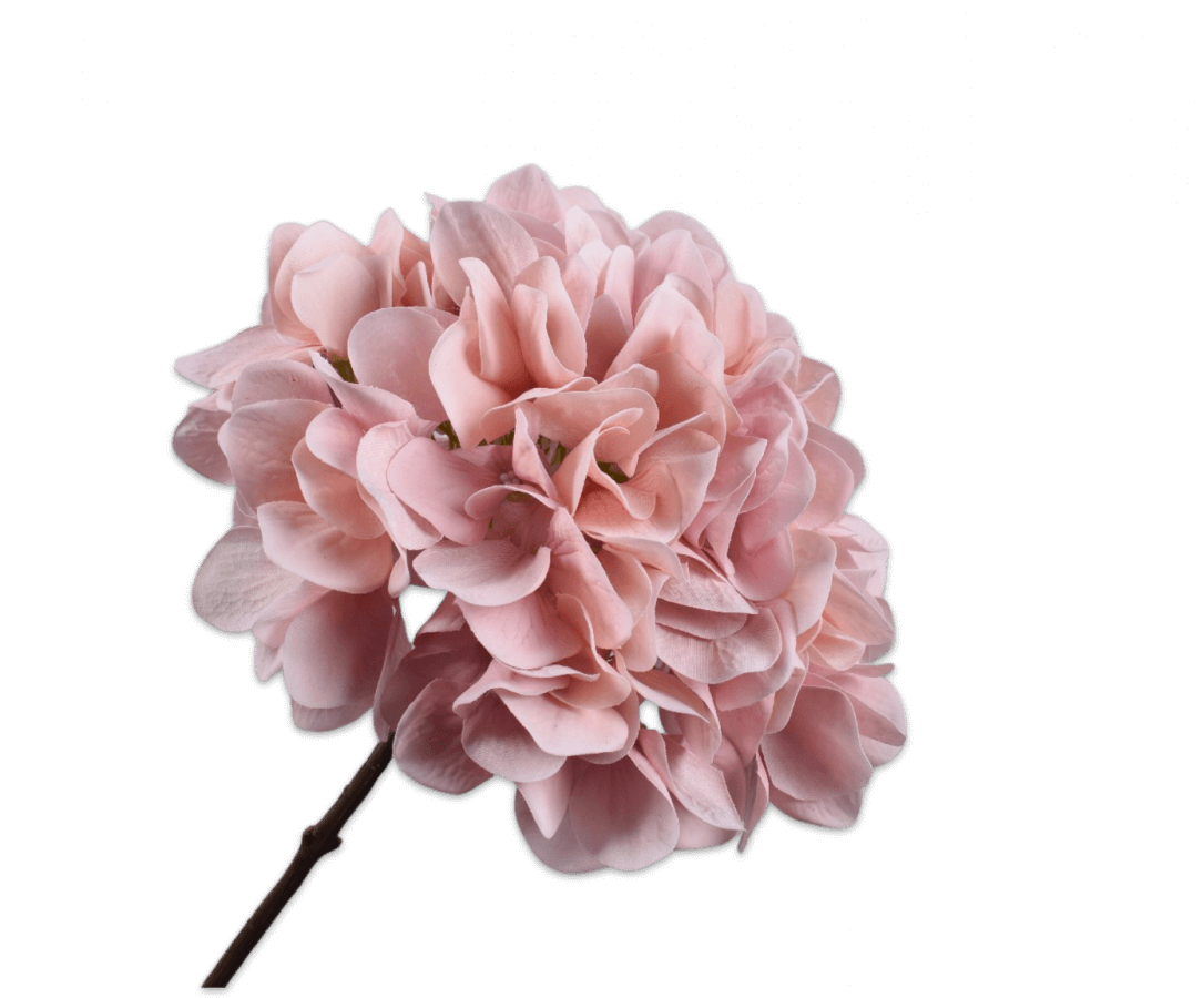 moderni klasika, interjero dizainas, klasika, elegancija, interjeras, hortensia steel roze lt, silk-ka, elegant home