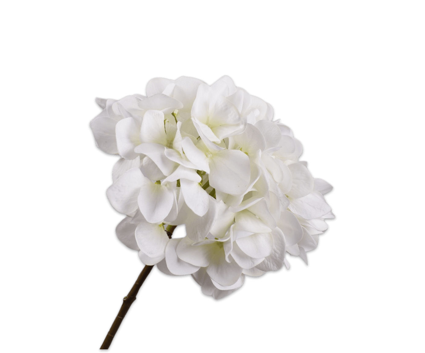moderni klasika, interjero dizainas, klasika, elegancija, interjeras, hydrangea stem white, silk-ka, elegant home