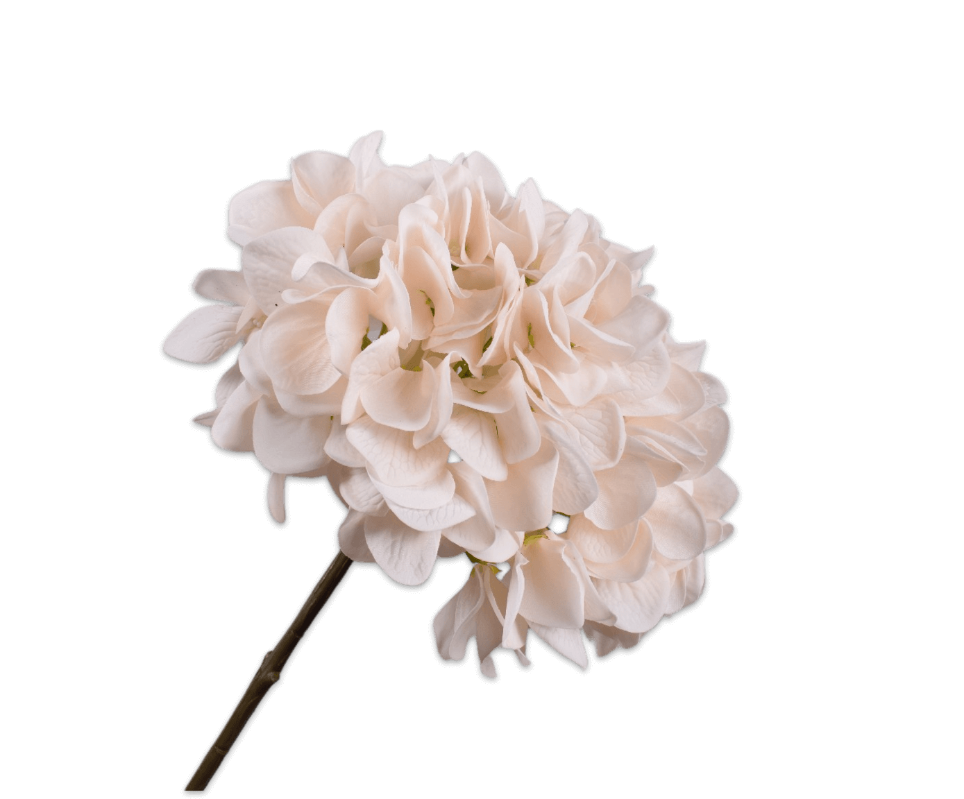 moderni klasika, interjero dizainas, klasika, elegancija, interjeras, hydrangea stem cr/pnk, silk-ka, elegant home