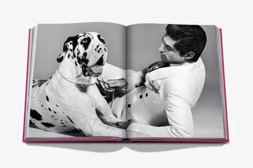 moderni klasika, interjero dizainas, klasika, elegancija, interjeras, knyga chic dogs, assouline, elegant home