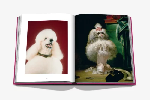 moderni klasika, interjero dizainas, klasika, elegancija, interjeras, knyga chic dogs, assouline, elegant home