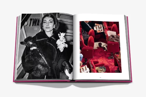 moderni klasika, interjero dizainas, klasika, elegancija, interjeras, knyga chic dogs, assouline, elegant home
