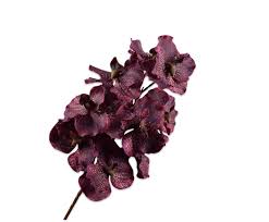 moderni klasika, interjero dizainas, klasika, elegancija, interjeras, dekoratyvinis augalas vanda stem burgund, silk-ka, elegant home