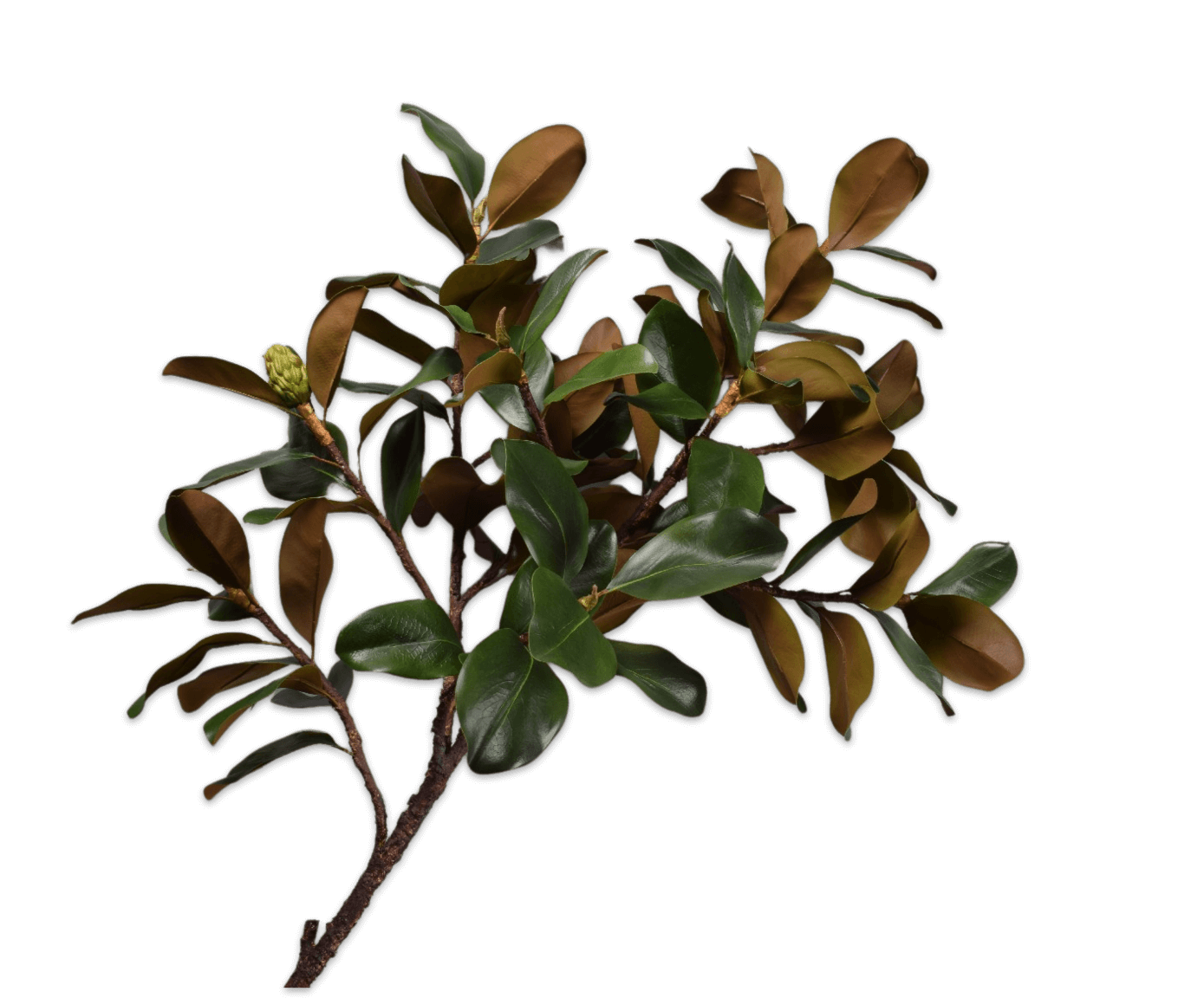 moderni klasika, interjero dizainas, klasika, elegancija, interjeras, dekoratyvinis augalas magnolia spray, silkka, elegant home