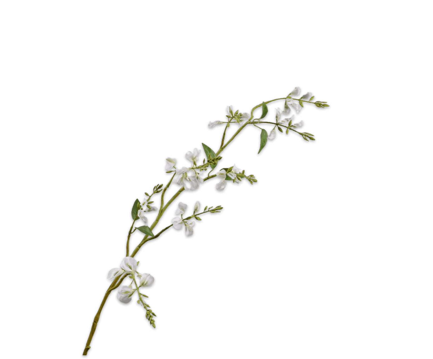 moderni klasika, interjero dizainas, klasika, elegancija, interjeras, dekoratyvinis augalas lathyrus spray cream, silkka, elegant home
