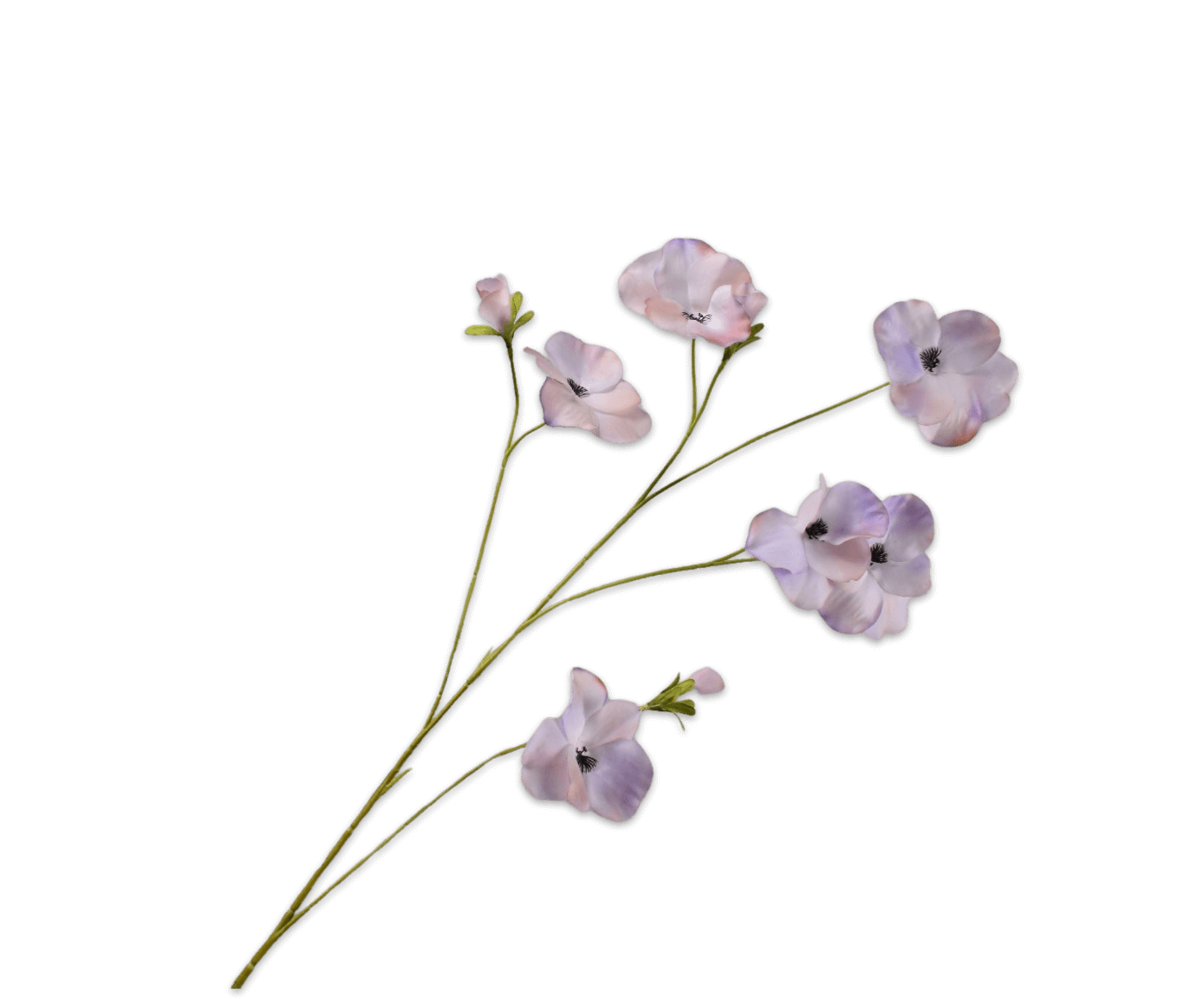 moderni klasika, interjero dizainas, klasika, elegancija, interjeras, dekoratyvinis augalas pansy spray lilac, silkka, elegant home