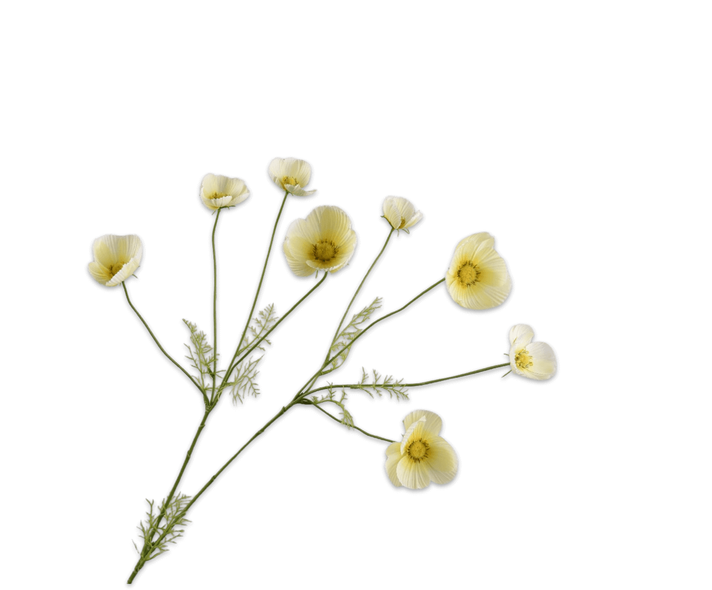 moderni klasika, interjero dizainas, klasika, elegancija, interjeras, dekoratyvinis augalas cosmos spray, silkka, elegant home