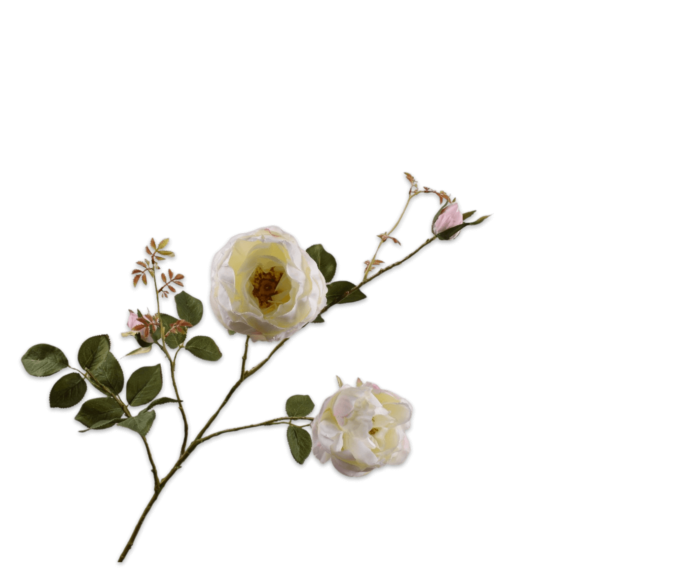 moderni klasika, interjero dizainas, klasika, elegancija, interjeras, dekoratyvinis augalas rose spray white, silkka, elegant home