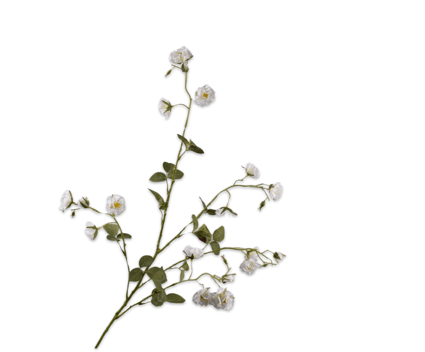 moderni klasika, interjero dizainas, klasika, elegancija, interjeras, dekoratyvinis augalas rose spray white, silkka, elegant home