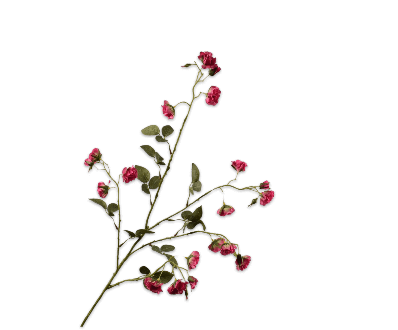 moderni klasika, interjero dizainas, klasika, elegancija, interjeras, dekoratyvinis augalas rose spray pink, silkka, elegant home