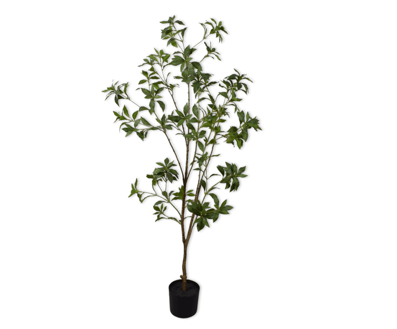 moderni klasika, interjero dizainas, klasika, elegancija, interjeras, dekoratyvinis augalas plant green, silkka, elegant home