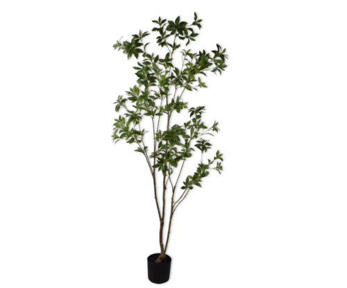 moderni klasika, interjero dizainas, klasika, elegancija, interjeras, dekoratyvinis augalas plant green, silkka, elegant home
