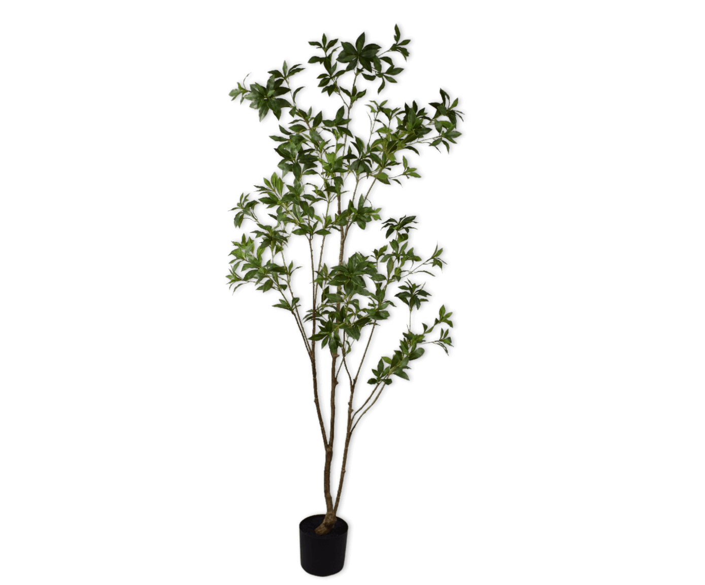 moderni klasika, interjero dizainas, klasika, elegancija, interjeras, dekoratyvinis augalas plant green, silkka, elegant home