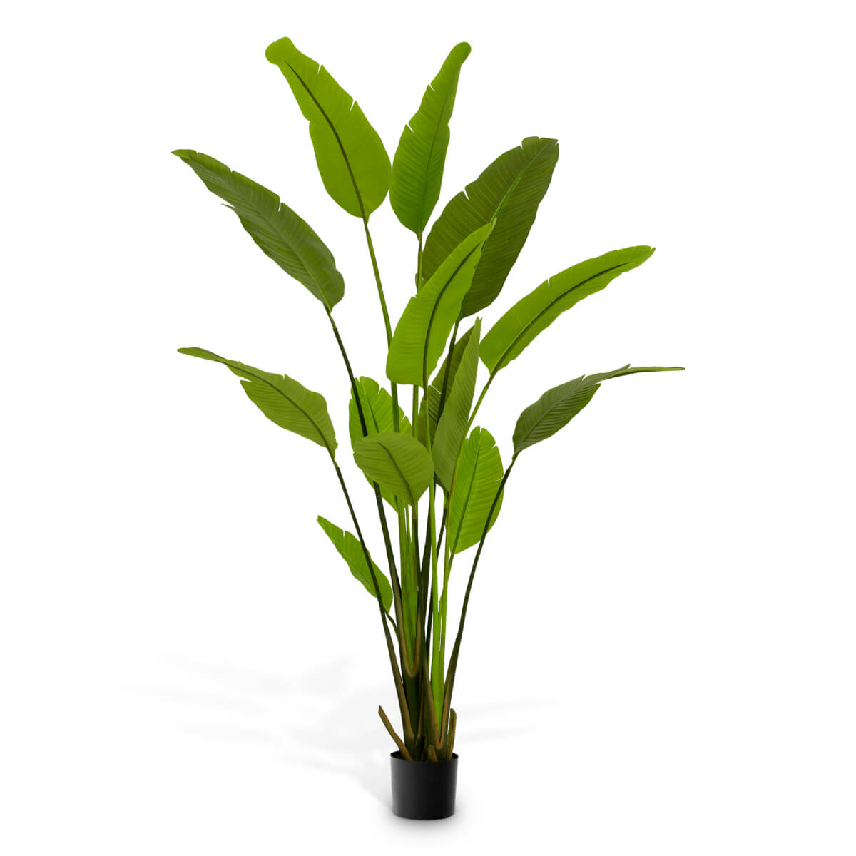 moderni klasika, interjero dizainas, klasika, elegancija, interjeras, dekoratyvinis augalas strelitzia m, eichholtz, elegant home